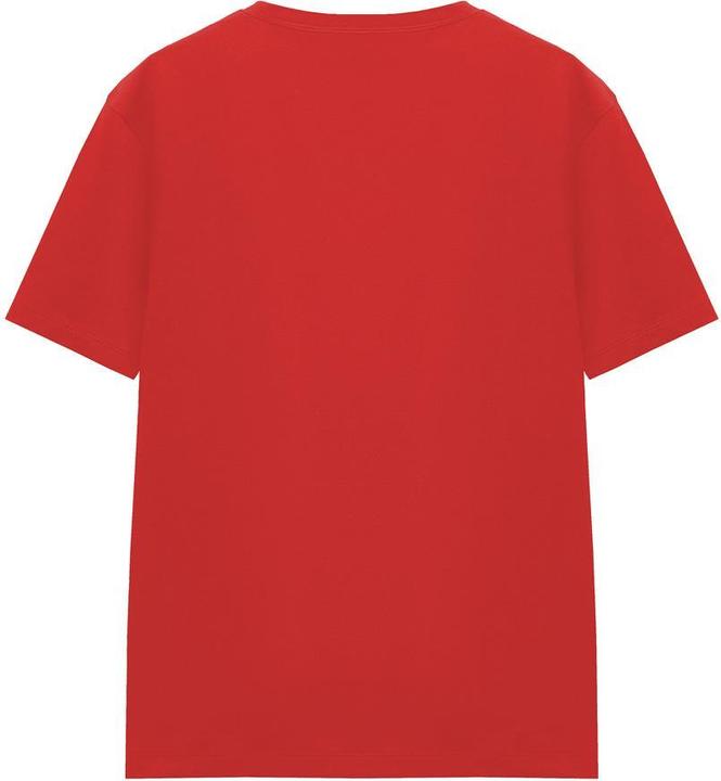 Actual product image Hulk Unisex Adult Costume T-Shirt (XL)