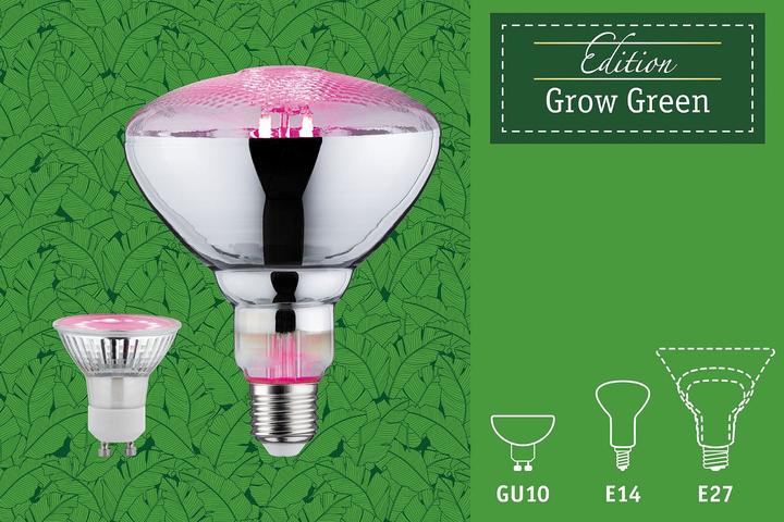 Produktbild Paulmann Pflanzenlampe (E14, 4 W, 100 lm, 1 x, B)