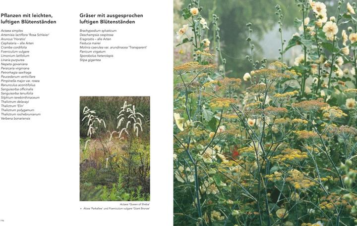 Produktbild Gärten inspiriert von der Natur (Deutsch, Piet Oudolf, 2021)