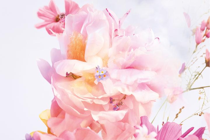 Actual product image Dior Blooming Bouquet (Eau de toilette, 30 ml)