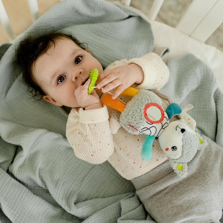Immagine prodotto Fehn Scatola musicale Mini DoBabyDoo fox, materiale: tessuto stampato