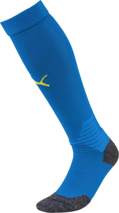 Actual product image Puma Team LIGA Socks-703438 (43 - 46)
