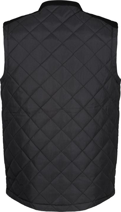 Image du produit Regatta Gilet Moreton (L)