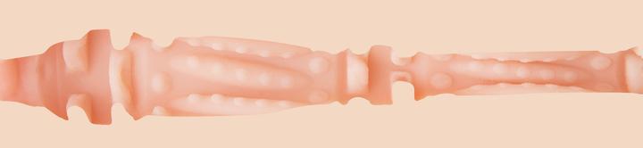 Image du produit Fleshlight Alexis Texas Lotus