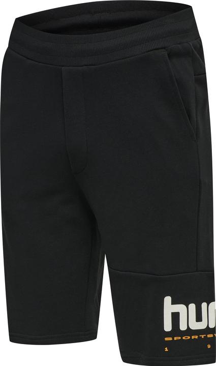 Image du produit hummel Lgc Manfred Shorts (M)