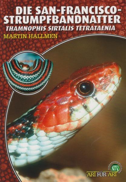 Produktbild Die San-Francisco-Strumpfbandnatter (Deutsch, Martin Hallmen, 2007)