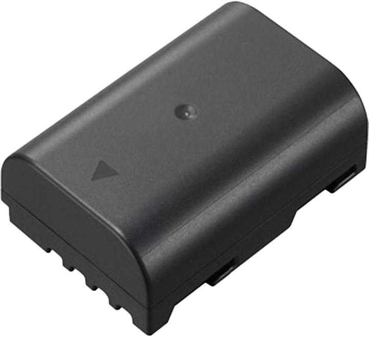 Panasonic Dmw-Blf19e (Akku)
