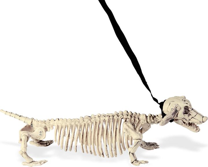 Actual product image Widmann Skeleton dachshund