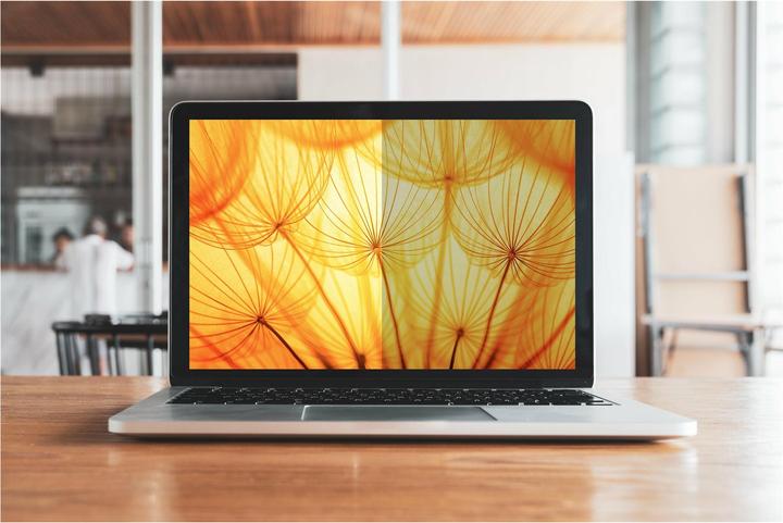 Actual product image 3M Bright Screen Privacy Filter for Apple MacBook Pro 13 M1-M2 16:10 BPNAP002 (13.27", 16 : 10)