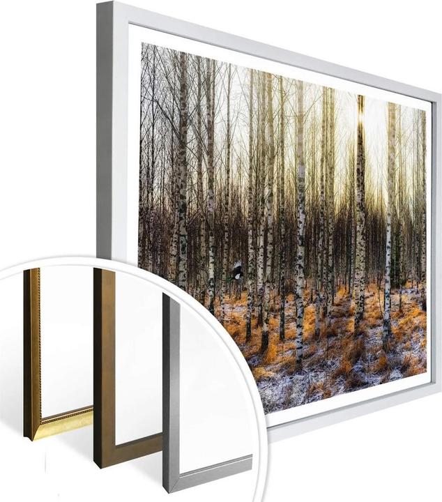 Immagine prodotto Trenddeko Il sole nella foresta di betulle (80 x 60 cm)