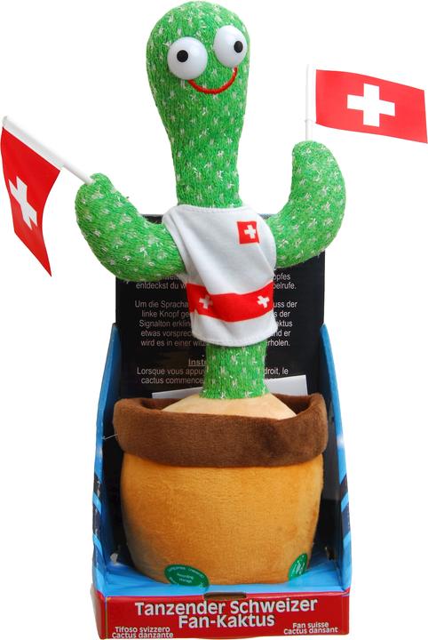 Immagine prodotto Kögler Cactus danzante, Svizzera Ventaglio (35 cm)