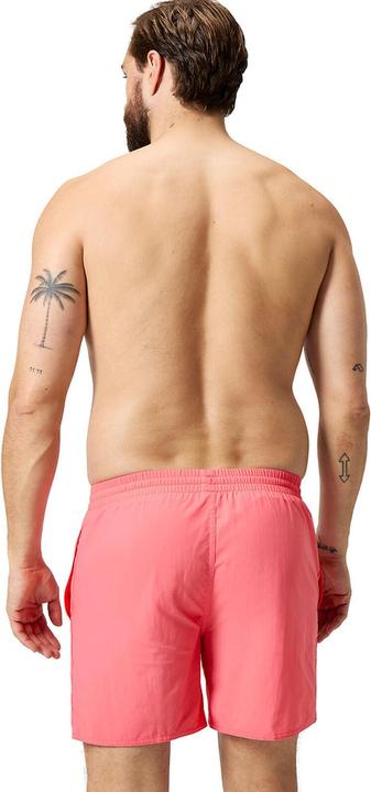 Actual product image Speedo Essential 16" Watershort (XXL)