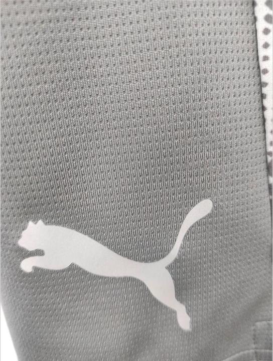 Actual product image Puma teamCUP Training Shorts (S)