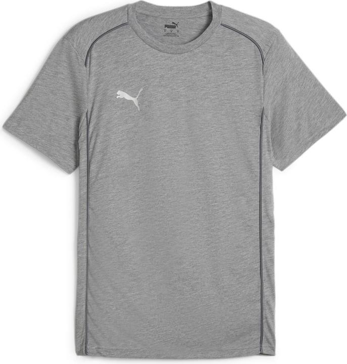 grigio medio-erica-pumasilver