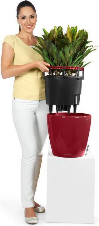 Actual product image Lechuza Classico (28.50 cm)