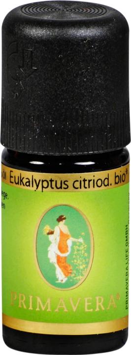 Actual product image Primavera Eucalyptus Citriodora Organic Essential Oil - Invigorating