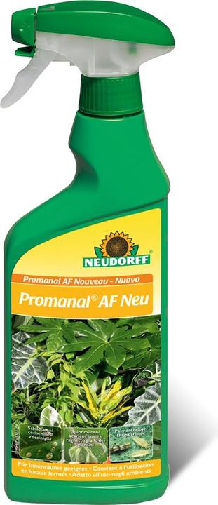 Image du produit Neudorff Promanal AFS Sans cochenille & puceron lanigère (Tétranyque rouge, Thunderbug, Cochenilles)