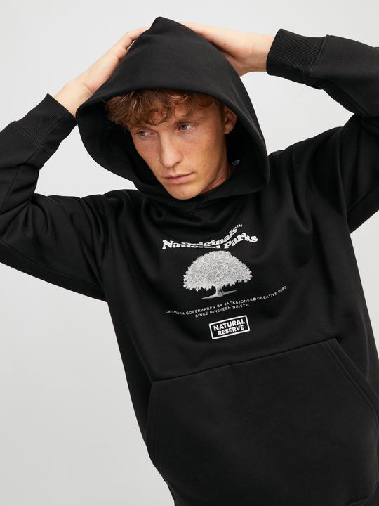 Image du produit Jack & Jones Jorurban Edge Graphic Sweat Hood Ln (XS)