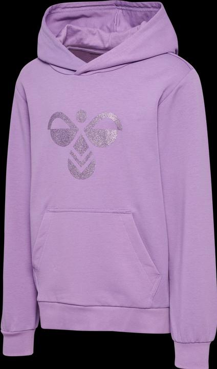 Image du produit hummel hmlCUATRO HOODIE (176)
