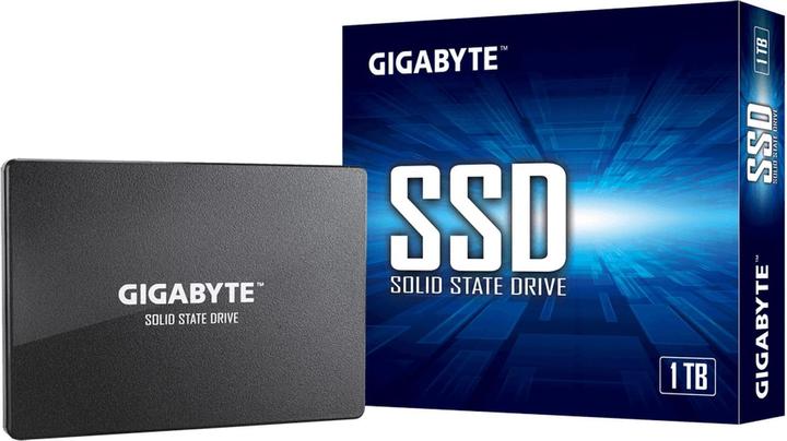 Image du produit Gigabyte GP-GSTFS31100TNTD (1000 Go, 2.5")