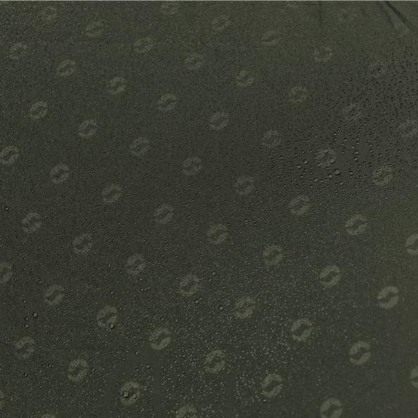 Actual product image Outwell Avondale 5PA (Tunnel tent, 24.90 kg, 5 persons)