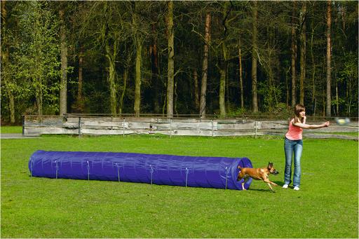 Immagine prodotto Beeztees TUNNEL BZ AGILITY GRANDE 525X60 (Destrezza)