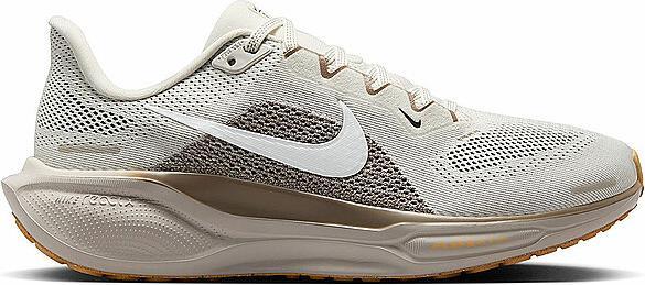 Nike Pegasus 41 (41)