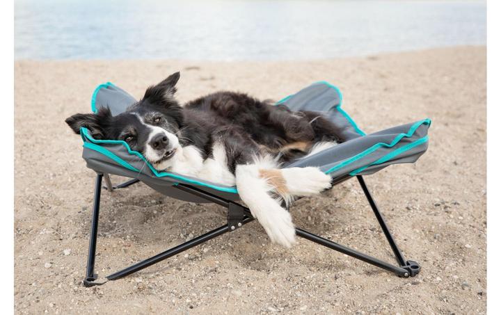 Produktbild Trixie Camping-Bett, bis 35 kg, 88 x 32 cm, Dunkelgrau/Petrol (Hund)