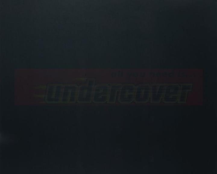 Actual product image Undercover Tinting film