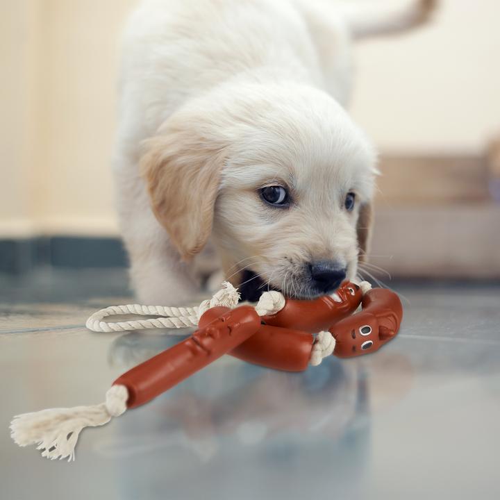 Produktbild Relaxdays Hundespielzeug Wurst (Zerrspielzeug Hund)