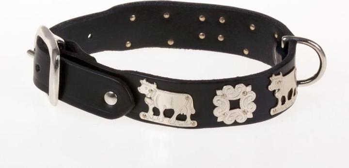 Actual product image Jenni Hemden Appenzeller dog collar (45, Dog, Walks)