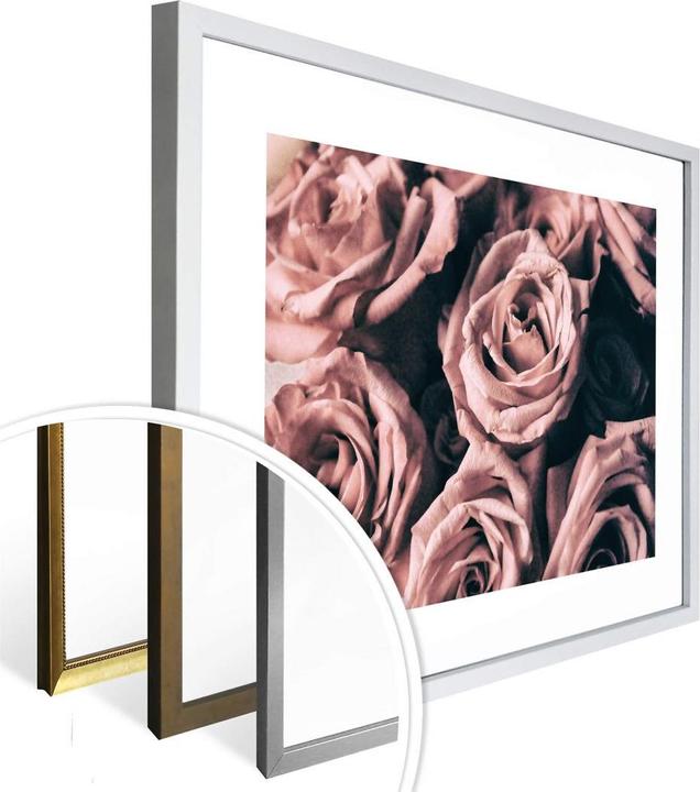 Produktbild Trenddeko Rosa Rosen im Vintagestil (60 x 50 cm)