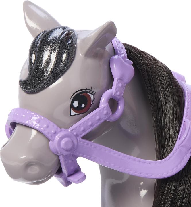 Productafbeelding Barbie Nieuw Chelsea & Pony Chelsea