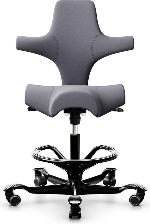 HAG Capisco 8106