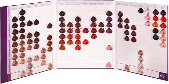Actual product image Basler Color 2002+ color chart