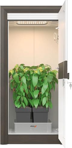 Actual product image Urban Chili 3.0 LED BOARD grow box complete set
