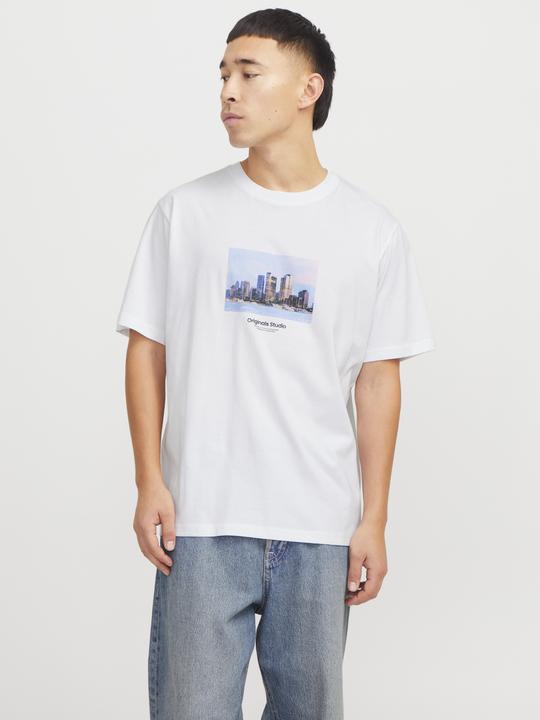 Immagine prodotto Jack & Jones Jorvesterbro Picture Tee Ss Crew Neck Sn (M)