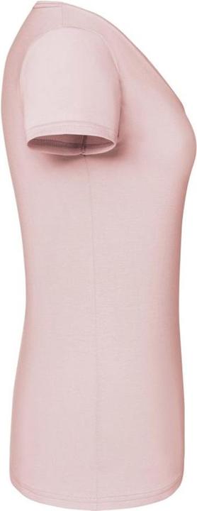 Actual product image Fruit of the Loom Womens/Ladies Iconic T-Shirt (XL)