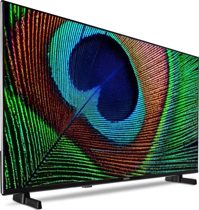 Produktbild Medion LIFE P14031 (MD 29242) Android TV™ (40", LCD, Full HD)