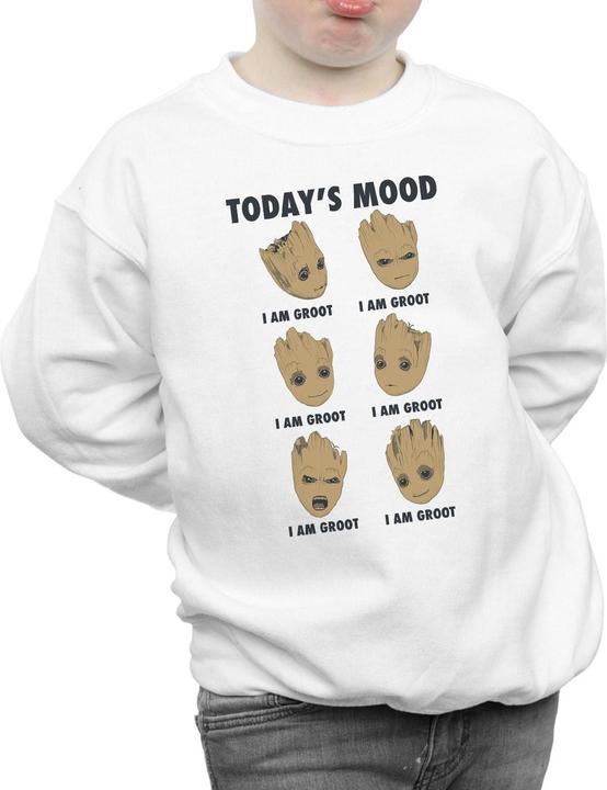 Actual product image Boys Guardians Of The Galaxy Groot Today's Mood Sweatshirt (140, 146)