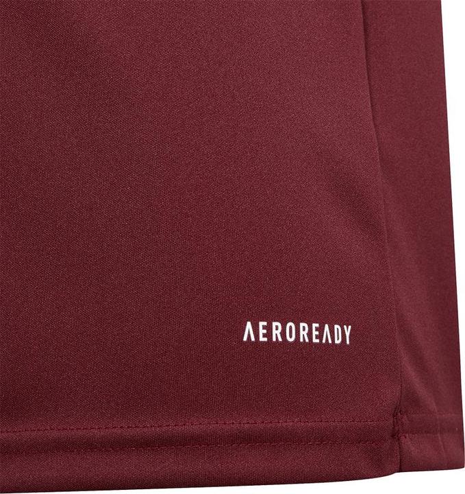 Image du produit adidas FORTORE23 JSY Y (116)