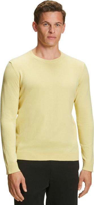Actual product image Falke Men Pullover (M)