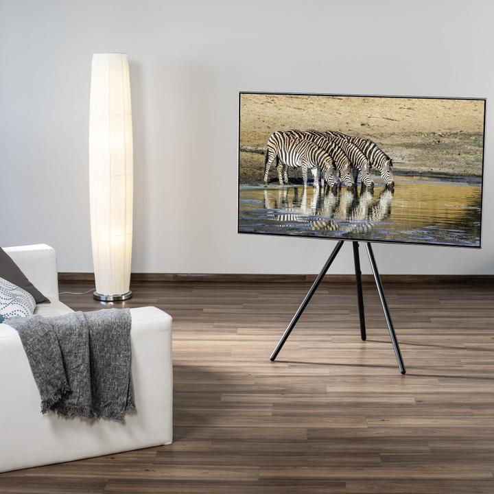 Productafbeelding Hama Ezelontwerp (Universeel, 40.16", 40 kg)