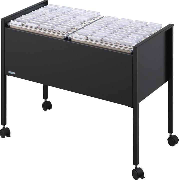 Actual product image Durable Suspension file trolley Economy 100 DUO A4 (21 x 29.5 cm)