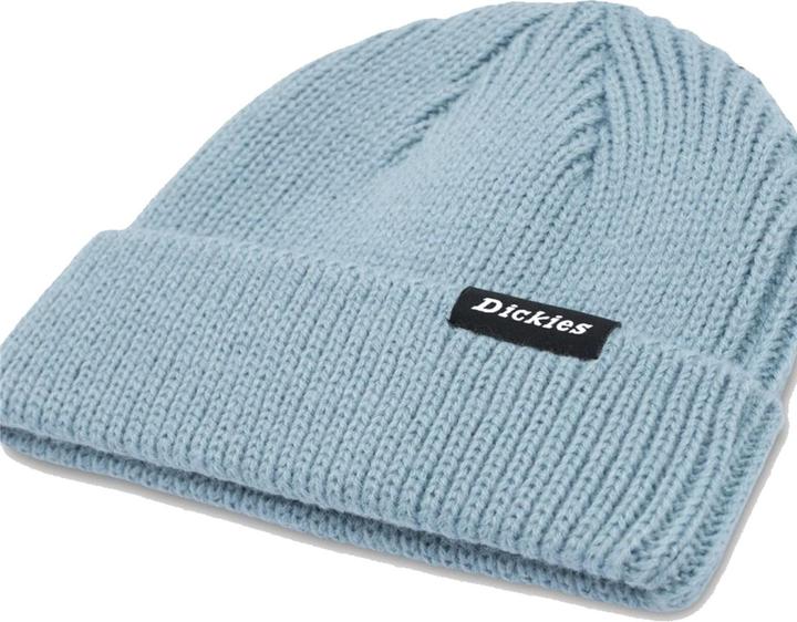 Actual product image Dickies Woodworth Beanie