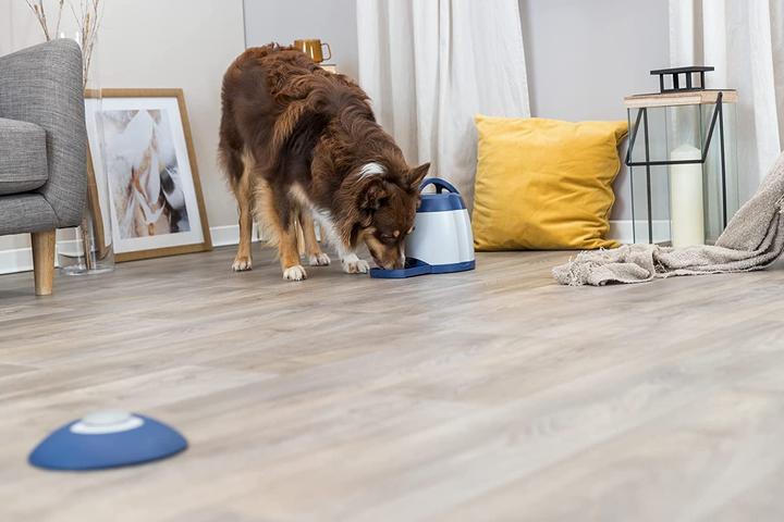 Image du produit Trixie entraîneur de mémoire (Jouet intelligent chien)