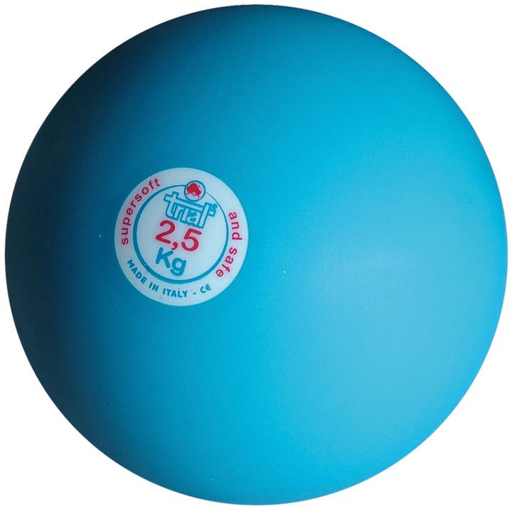 Produktbild Trial Hallen-Stosskugel, 2,5 kg (2500 g)