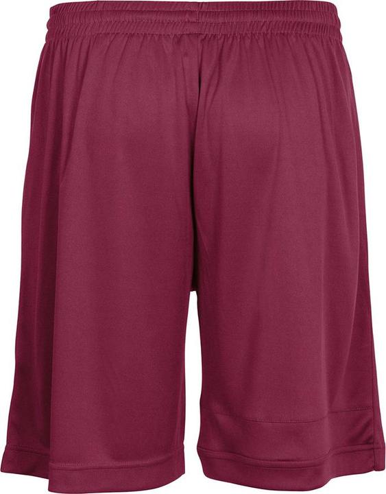 Actual product image Stanno Field Shorts (164)