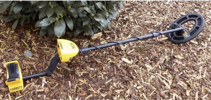 Actual product image Garrett ACE300i