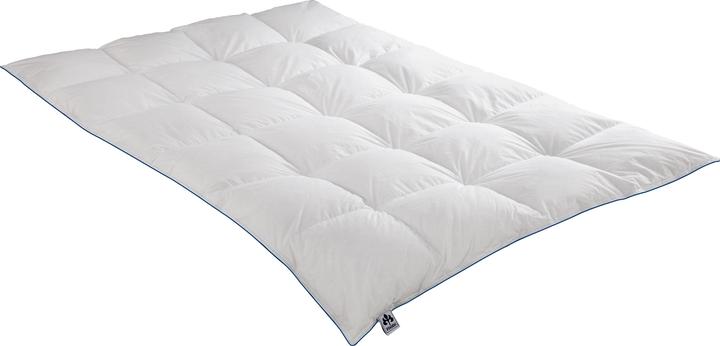 Produktbild Irisette Daunenkassettendecke Luna warm (940 g, 155 x 200 cm)